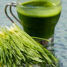 jus d'herbe d'orge